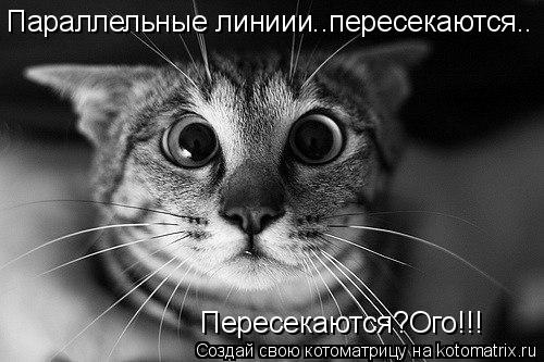 Параллельные линиии..пересекаются.. Пересекаются?Ого!!!... Котоматрица: Параллельные линиии..пересекаются.. Пересекаются?Ого!!!