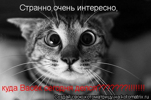 Странно,очень интересно, куда Васёк сегодня делся???????!!!!!!!... Котоматрица: Странно,очень интересно, куда Васёк сегодня делся???????!!!!!!!