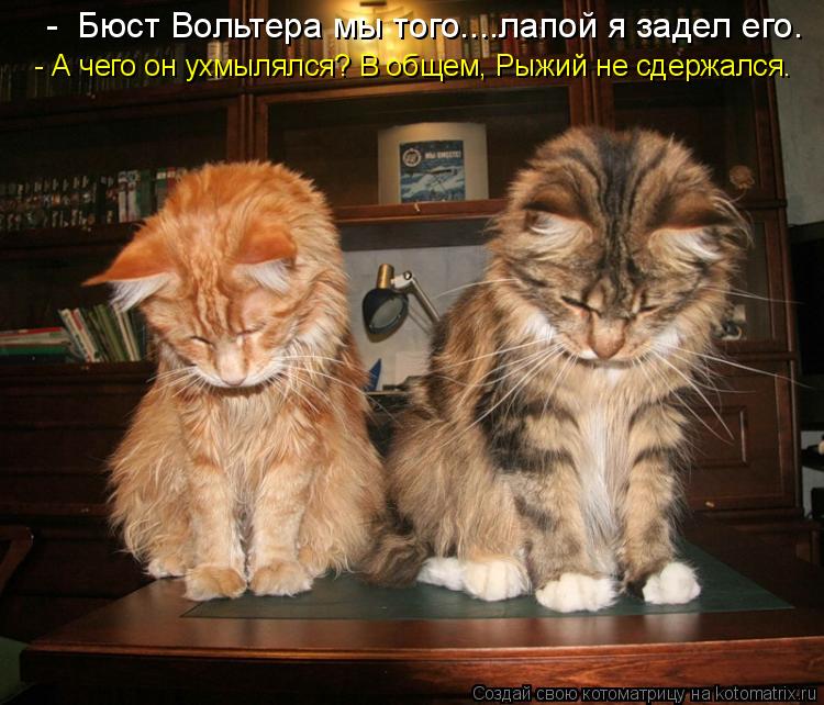 - Бюст Вольтера мы того....лапой я задел его. - А чего он ухмылялся? В общем, Рыжий не сдержался.... Котоматрица: - Бюст Вольтера мы того....лапой я задел его. - А чего он ухмылялся? В общем, Рыжий не сдержался.