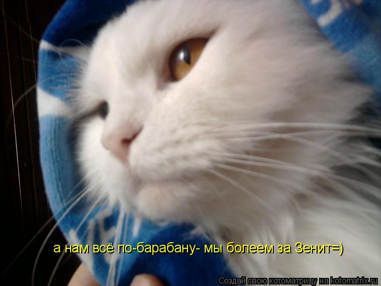 а нам всё по-барабану- мы болеем за Зенит=)... Котоматрица: а нам всё по-барабану- мы болеем за Зенит=)