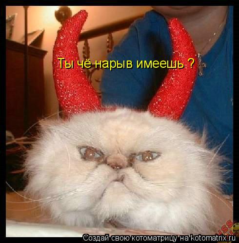 Ты чё нарыв имеешь ?... Котоматрица: Ты чё нарыв имеешь ?