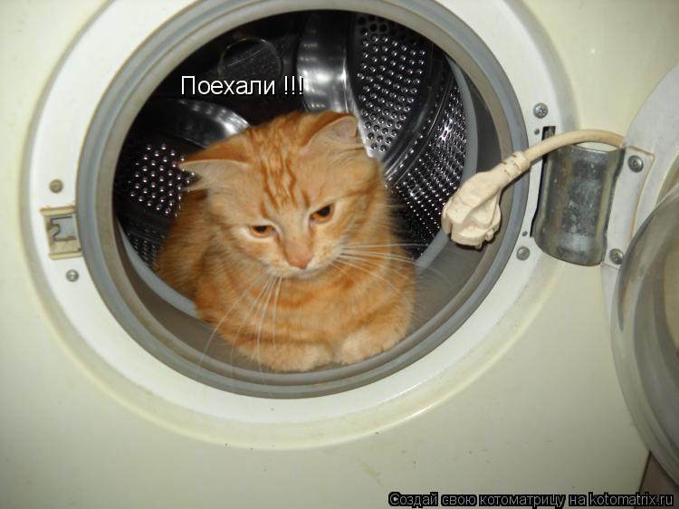 Поехали !!!... Котоматрица: Поехали !!!
