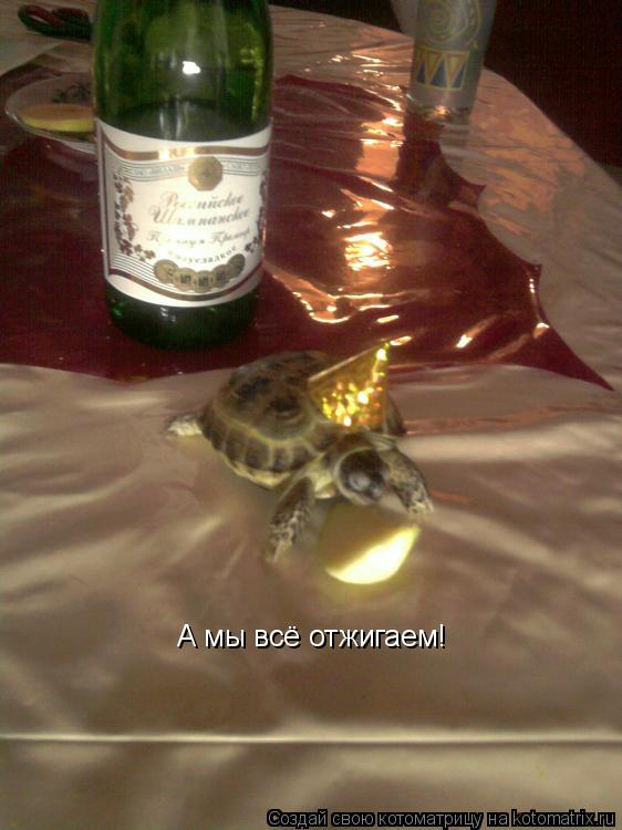 А мы всё отжигаем!... Котоматрица: А мы всё отжигаем!