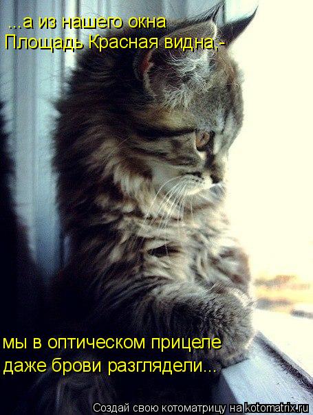 ...а из нашего окна Площадь Красная видна,- мы в оптическом прицеле даже брови разглядели...... Котоматрица: ...а из нашего окна Площадь Красная видна,- мы в оптическом прицеле даже брови разглядели...