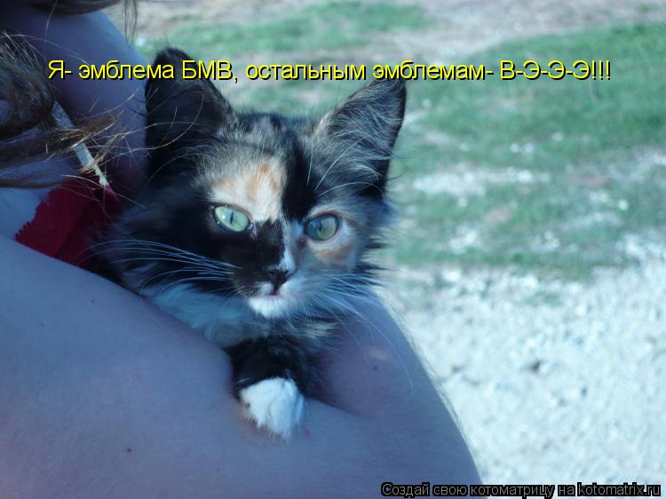 Я- эмблема БМВ, остальным эмблемам- В-Э-Э-Э!!!... Котоматрица: Я- эмблема БМВ, остальным эмблемам- В-Э-Э-Э!!!