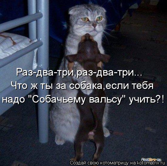 Что ж ты за собака,если тебя надо "Собачьему вальсу" учить?! Раз-два-три,раз-два-три...... Котоматрица: Что ж ты за собака,если тебя надо "Собачьему вальсу" учить?! Раз-два-три,раз-два-три...