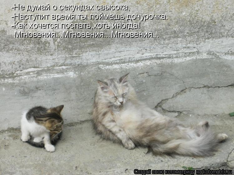 -Не думай о секундах свысока, -Наступит время ты поймёшь дочурочка. -Как хочется поспать,хоть иногда!... Котоматрица: -Не думай о секундах свысока, -Наступит время ты поймёшь дочурочка. -Как хочется поспать,хоть иногда! Мгновения...Мгновения...Мгновения...