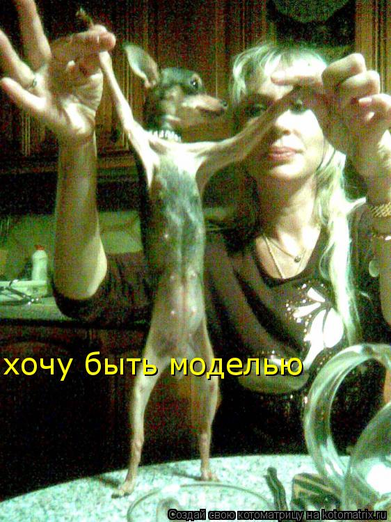 хочу быть моделью... Котоматрица: хочу быть моделью