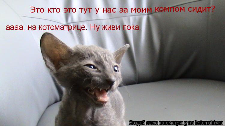 Это кто это тут у нас за моим компом сидит? аааа, на котоматрице. Ну живи пока.... Котоматрица: Это кто это тут у нас за моим компом сидит? аааа, на котоматрице. Ну живи пока.