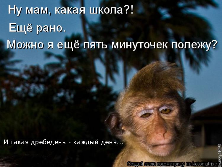 Ну мам, какая школа?! Ещё рано. Можно я ещё пять минуточек полежу? И такая дребедень - каждый день...... Котоматрица: Ну мам, какая школа?! Ещё рано. Можно я ещё пять минуточек полежу? И такая дребедень - каждый день...