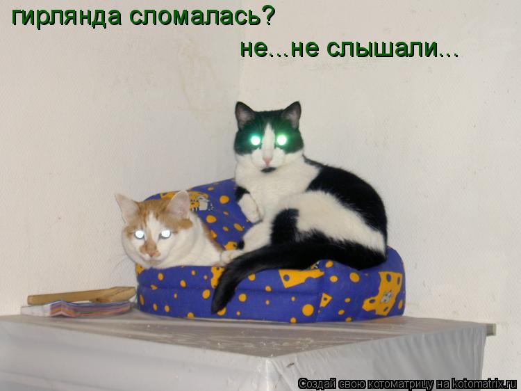 гирлянда сломалась? не...не слышали...... Котоматрица: гирлянда сломалась? не...не слышали...