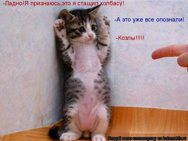 -Ладно!Я признаюсь,это я стащил колбасу! -А это уже все опознали! -Козлы!!!!!... Котоматрица: -Ладно!Я признаюсь,это я стащил колбасу! -А это уже все опознали! -Козлы!!!!!