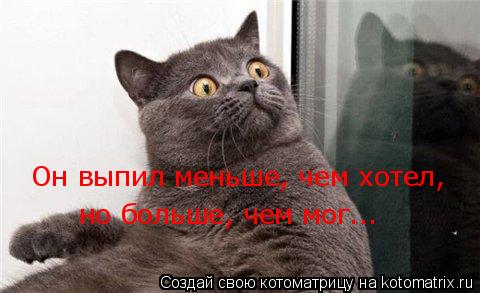 Он выпил меньше, чем хотел, но больше, чем мог...... Котоматрица: Он выпил меньше, чем хотел, но больше, чем мог...