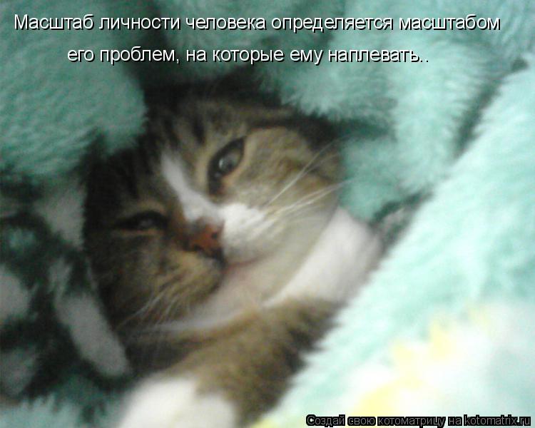 Котоматрица: Масштаб личности человека определяется масштабом  его проблем, на которые ему наплевать..