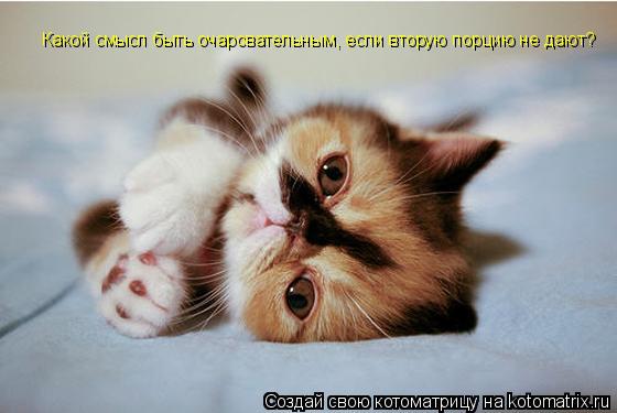 Котоматрица: Какой смысл быть очаровательным, если вторую порцию не дают?