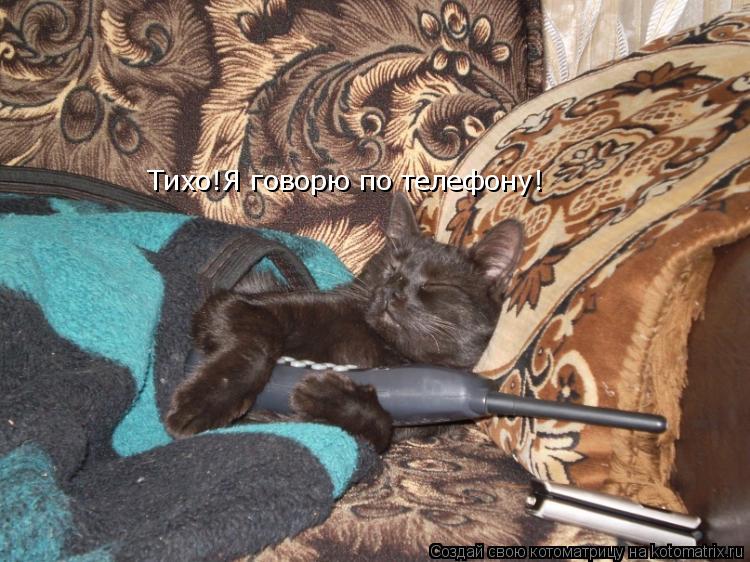 Котоматрица: Тихо!Я говорю по телефону! Тихо!Я говорю по телефону! Тихо!Я говорю по телефону!