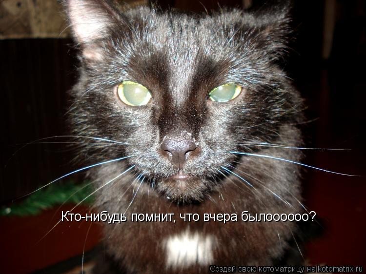 Котоматрица: Кто-нибудь помнит, что вчера былоооооо?