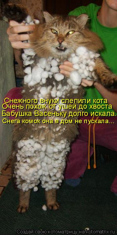 Котоматрица: Снежного внуки слепили кота Очень похож от ушей до хвоста Бабушка Васеньку долго искала... Снега комок она в дом не пускала...