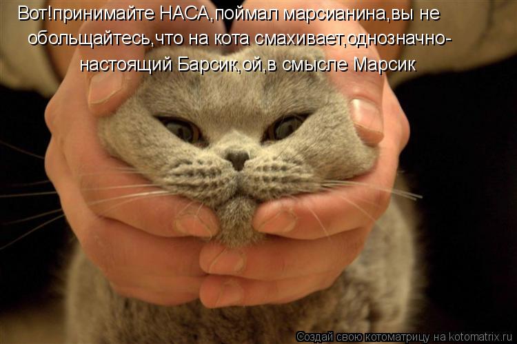 Котоматрица: Вот!принимайте НАСА,поймал марсианина,вы не  обольщайтесь,что на кота смахивает,однозначно- настоящий Барсик,ой,в смысле Марсик
