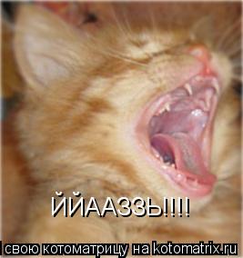 Котоматрица: ЙЙААЗЗЬ!!!!