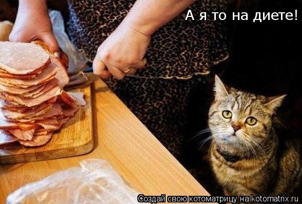 Котоматрица: А я то на диете!
