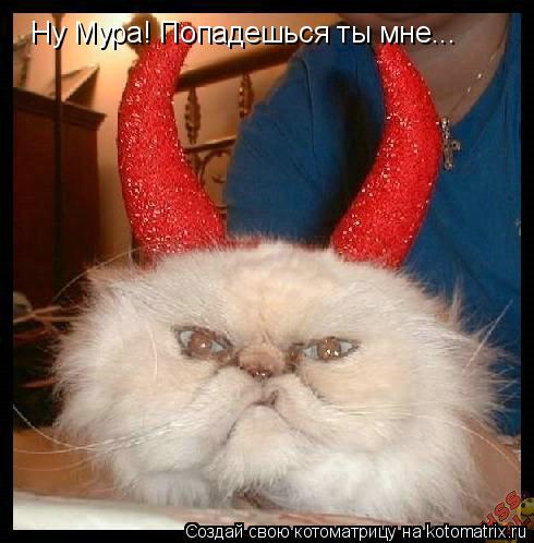 Ну Мура! Попадешься ты мне...... Котоматрица: Ну Мура! Попадешься ты мне...