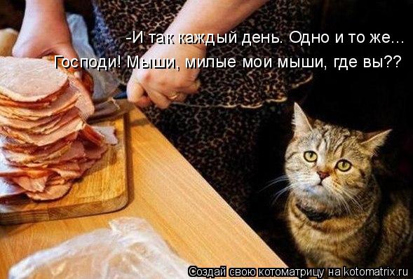 -И так каждый день. Одно и то же... Господи! Мыши, милые мои мыши, где вы??... Котоматрица: -И так каждый день. Одно и то же... Господи! Мыши, милые мои мыши, где вы??