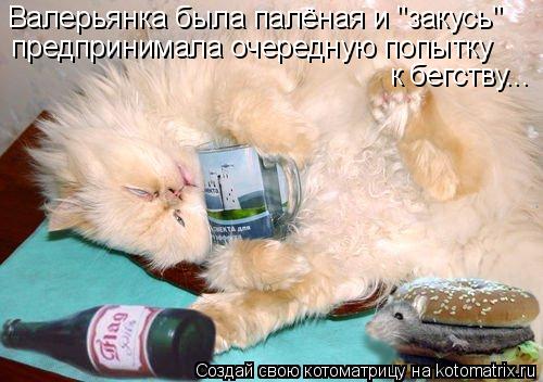 Валерьянка была палёная и "закусь" предпринимала очередную попытку к бегству...... Котоматрица: Валерьянка была палёная и "закусь" предпринимала очередную попытку к бегству...