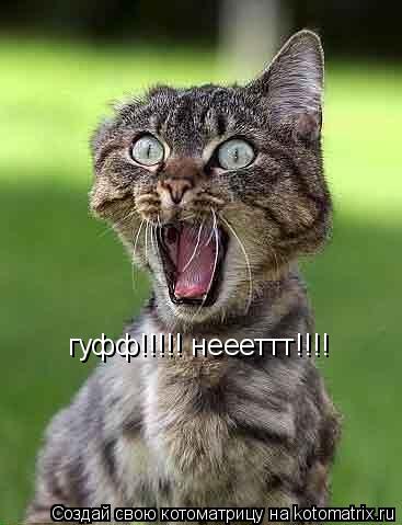 гуфф!!!!! неееттт!!!!... Котоматрица: гуфф!!!!! неееттт!!!!
