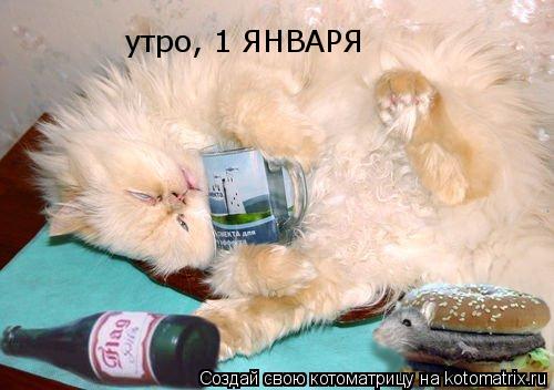 утро, 1 ЯНВАРЯ... Котоматрица: утро, 1 ЯНВАРЯ