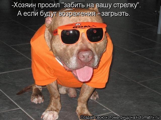 -Хозяин просил "забить на вашу стрелку". А если будут возражения - загрызть.... Котоматрица: -Хозяин просил "забить на вашу стрелку". А если будут возражения - загрызть.