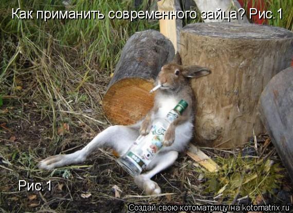 Как приманить современного зайца? Рис.1 Рис.1... Котоматрица: Как приманить современного зайца? Рис.1 Рис.1