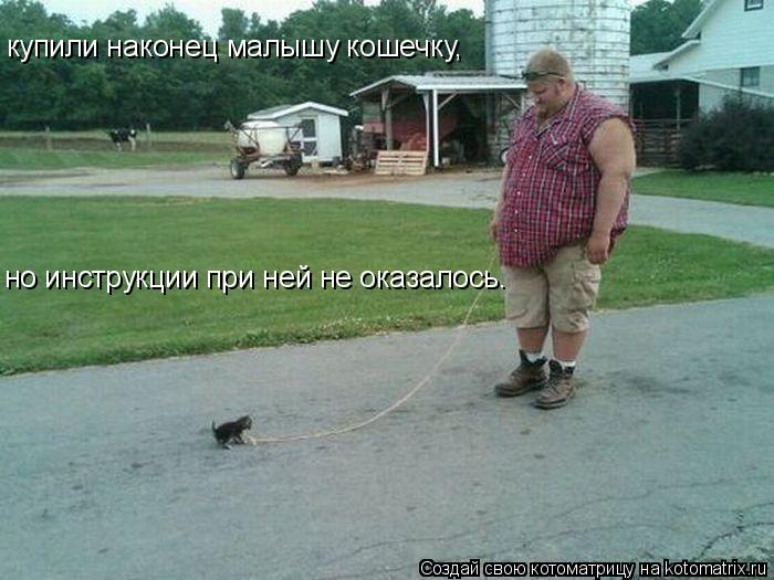 купили наконец малышу кошечку, но инструкции при ней не оказалось.... Котоматрица: купили наконец малышу кошечку, но инструкции при ней не оказалось.