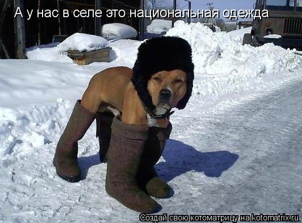 А у нас в селе это национальная одежда... Котоматрица: А у нас в селе это национальная одежда