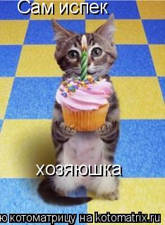Сам испек хозяюшка... Котоматрица: Сам испек хозяюшка