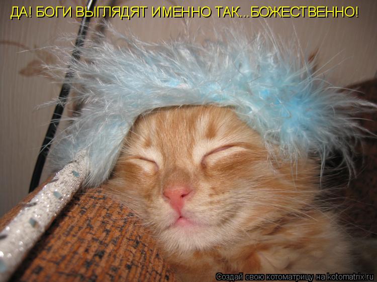ДА! БОГИ ВЫГЛЯДЯТ ИМЕННО ТАК...БОЖЕСТВЕННО!... Котоматрица: ДА! БОГИ ВЫГЛЯДЯТ ИМЕННО ТАК...БОЖЕСТВЕННО!