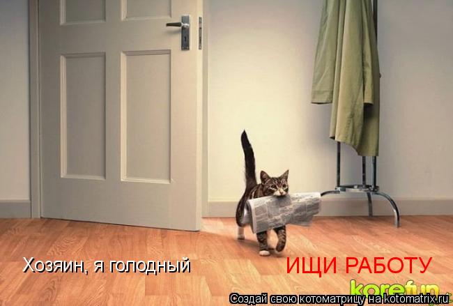 Хозяин, я голодный ИЩИ РАБОТУ... Котоматрица: Хозяин, я голодный ИЩИ РАБОТУ