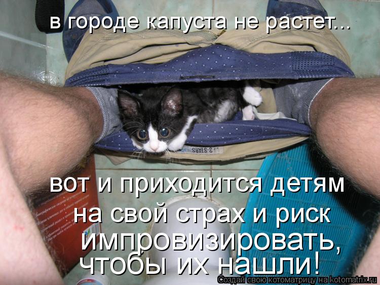 в городе капуста не растет... чтобы их нашли! импровизировать, вот и приходится детям на свой стр... Котоматрица: в городе капуста не растет... чтобы их нашли! импровизировать, вот и приходится детям на свой страх и риск