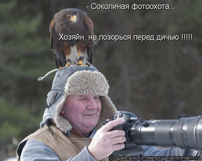 - Соколиная фотоохота... Хозяйн, не позорься перед дичью !!!!!... Котоматрица: - Соколиная фотоохота... Хозяйн, не позорься перед дичью !!!!!