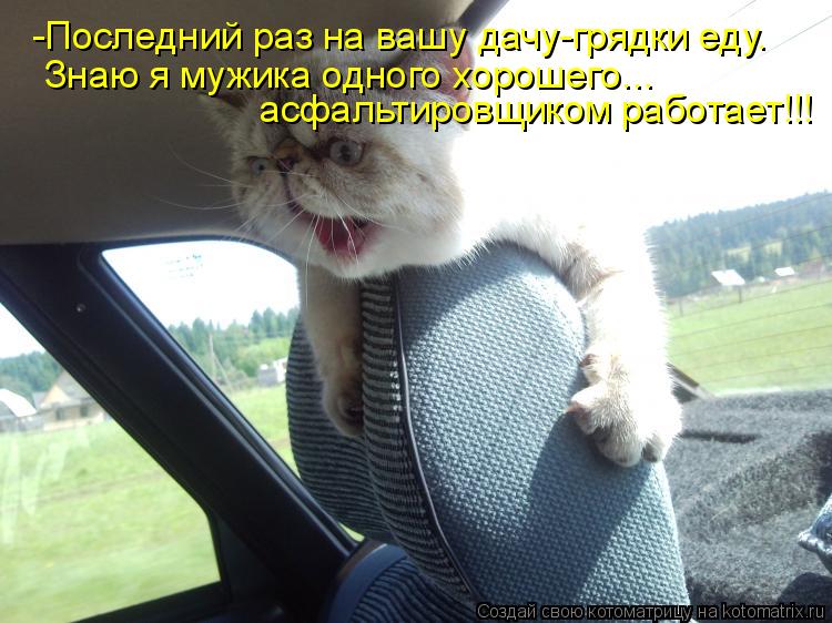 асфальтировщиком работает!!! Знаю я мужика одного хорошего... -Последний раз на вашу дачу-грядки еду.... Котоматрица: асфальтировщиком работает!!! Знаю я мужика одного хорошего... -Последний раз на вашу дачу-грядки еду.