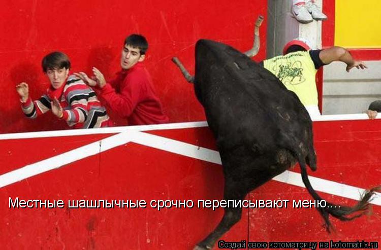 Местные шашлычные срочно переписывают меню....... Котоматрица: Местные шашлычные срочно переписывают меню....