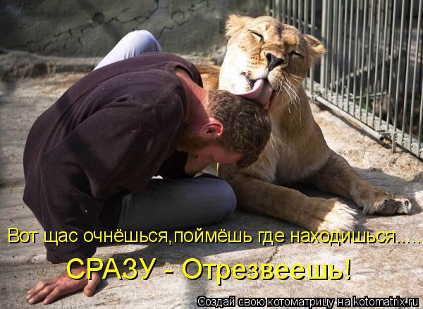 СРАЗУ - Отрезвеешь! Вот щас очнёшься,поймёшь где находишься......... Котоматрица: СРАЗУ - Отрезвеешь! Вот щас очнёшься,поймёшь где находишься......