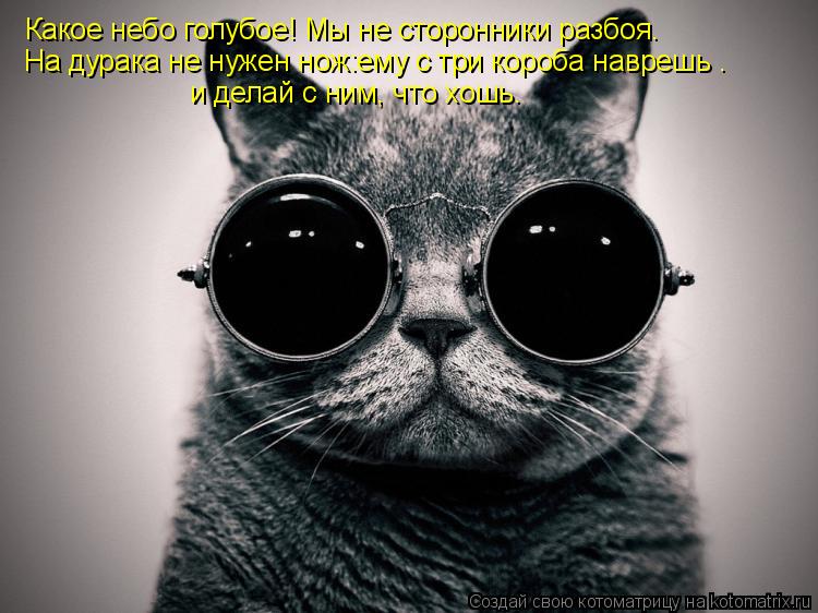 Какое небо голубое! Мы не сторонники разбоя. На дурака не нужен нож:ему с три короба наврешь — и дела... Котоматрица: Какое небо голубое! Мы не сторонники разбоя. На дурака не нужен нож:ему с три короба наврешь — и делай с ним, что хошь.