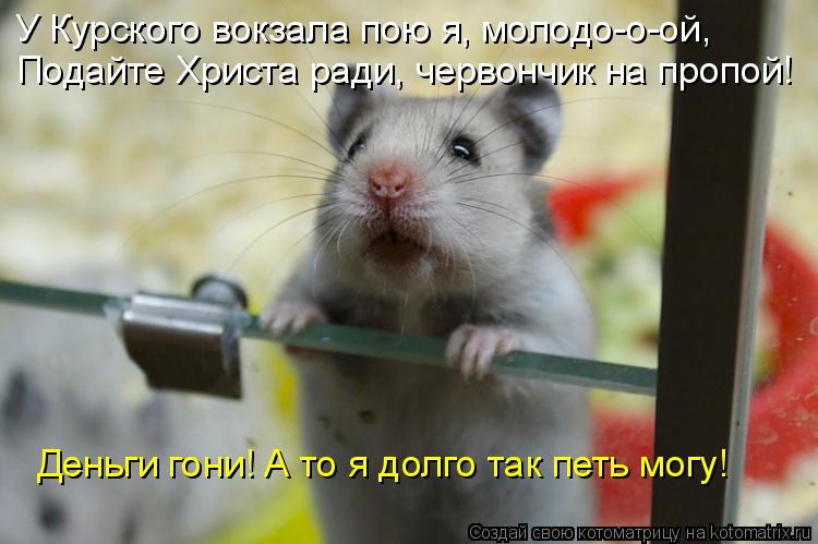 У Курского вокзала пою я, молодо-о-ой, Подайте Христа ради, червончик на пропой! Деньги гони! А то я ... Котоматрица: У Курского вокзала пою я, молодо-о-ой, Подайте Христа ради, червончик на пропой! Деньги гони! А то я долго так петь могу!