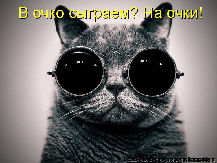 В очко сыграем? На очки!... Котоматрица: В очко сыграем? На очки!