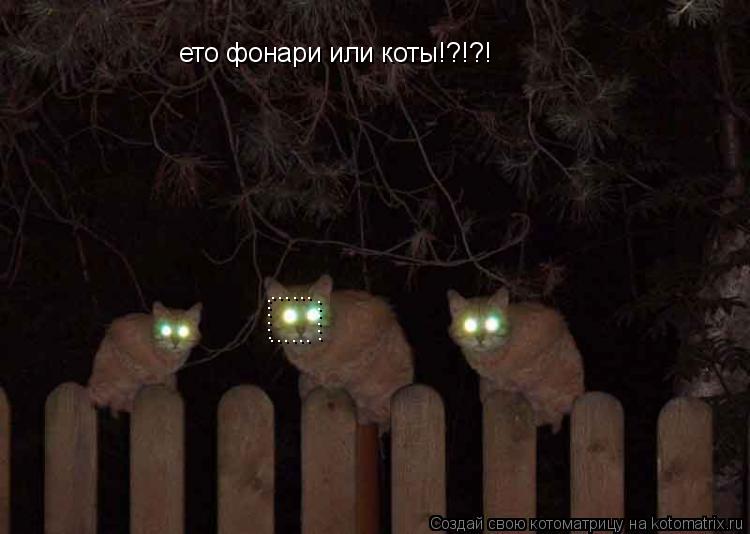 ето фонари или коты!?!?! ...... ...... ...... ......... Котоматрица: ето фонари или коты!?!?! ...... ...... ...... ......
