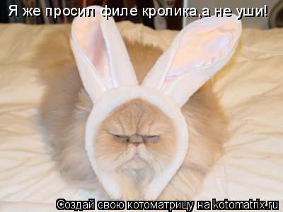 Я же просил филе кролика,а не уши!... Котоматрица: Я же просил филе кролика,а не уши!