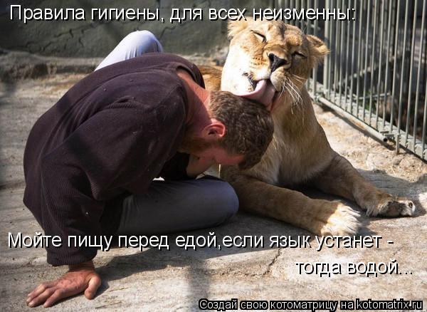 Правила гигиены, для всех неизменны: Мойте пищу перед едой,если язык устанет - тогда водой...... Котоматрица: Правила гигиены, для всех неизменны: Мойте пищу перед едой,если язык устанет - тогда водой...