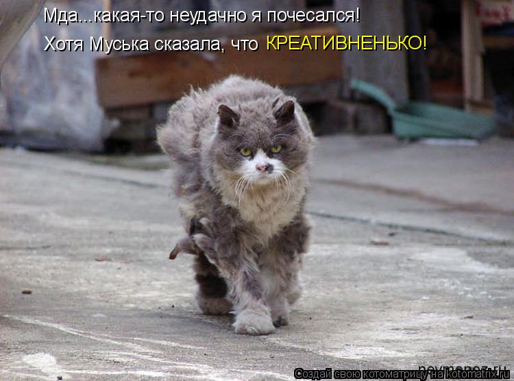 Мда...какая-то неудачно я почесался! Хотя Муська сказала, что КРЕАТИВНЕНЬКО!... Котоматрица: Мда...какая-то неудачно я почесался! Хотя Муська сказала, что КРЕАТИВНЕНЬКО!