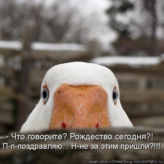 - Что говорите? Рождество сегодня?! П-п-поздравляю... Н-не за этим пришли?!!!... Котоматрица: - Что говорите? Рождество сегодня?! П-п-поздравляю... Н-не за этим пришли?!!!